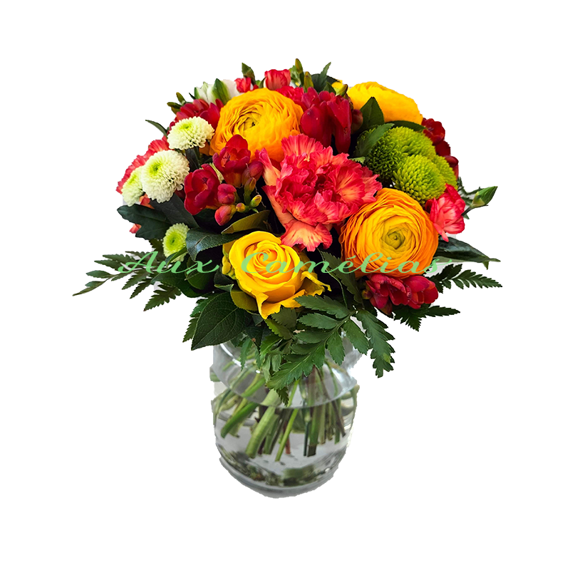 Aux Camélias - Livraison gratuite de fleurs à Besançon