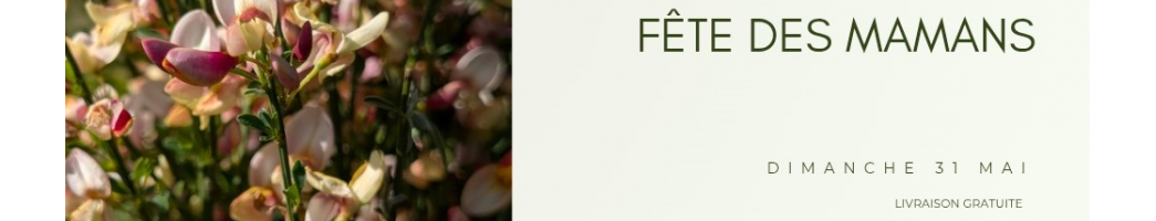 Livraison Gratuite Fleurs - Fête des Mères - Aux Camélias Besançon