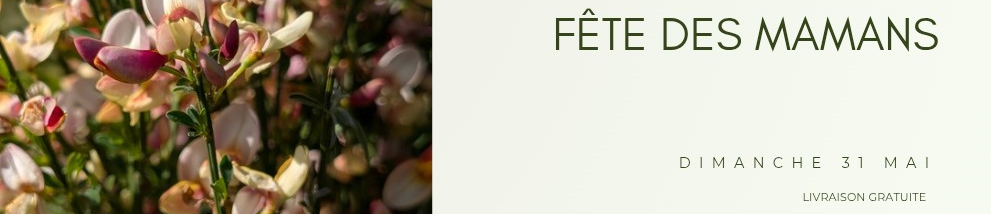 Fête des mères